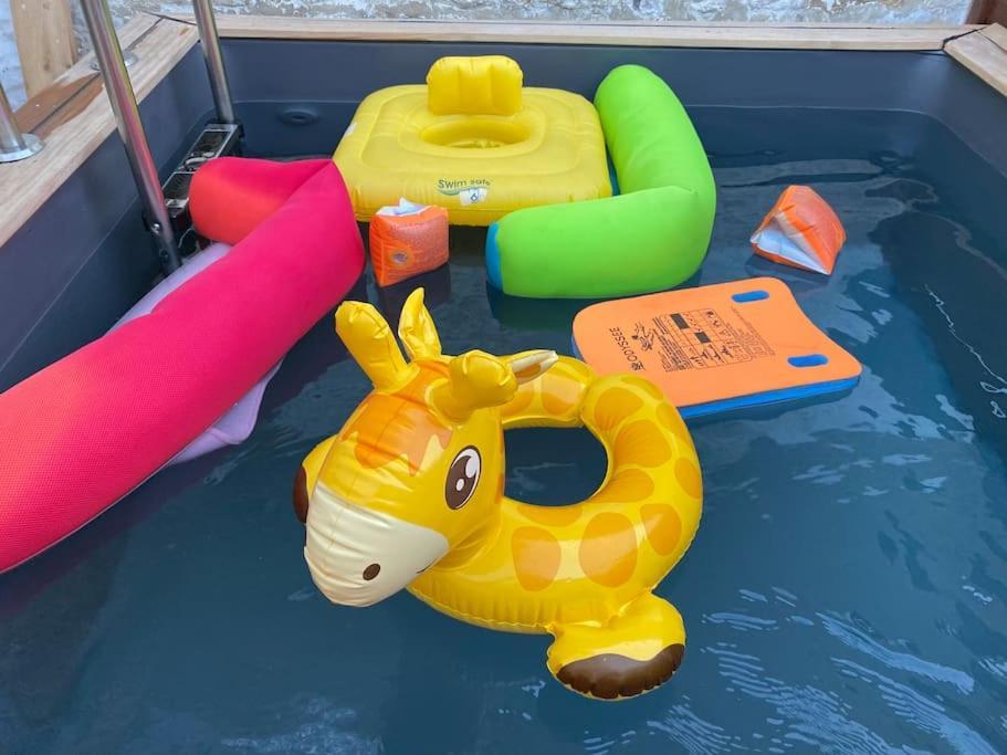 托奈夏朗德Charentaise 6-8 Personnes Avec Piscine别墅 外观 照片